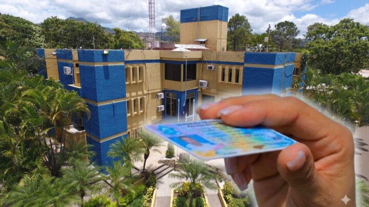 Licencia de conducir y propuesta de tercerización de su emisión en Honduras