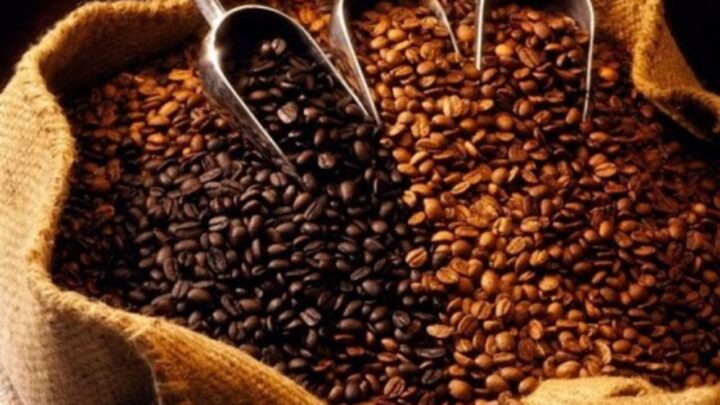 Granos de café hondureño representando el crecimiento de la producción nacional