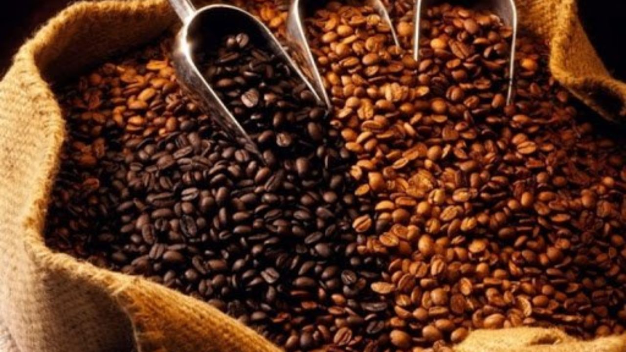 Granos de café hondureño representando el crecimiento de la producción nacional