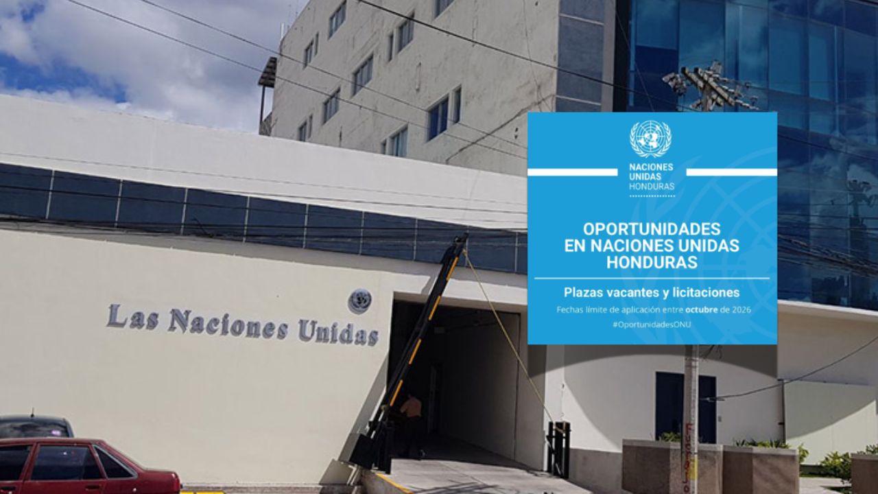 Dos vacantes de trabajo de la ONU en Tegucigalpa y sus requisitos para aplicar