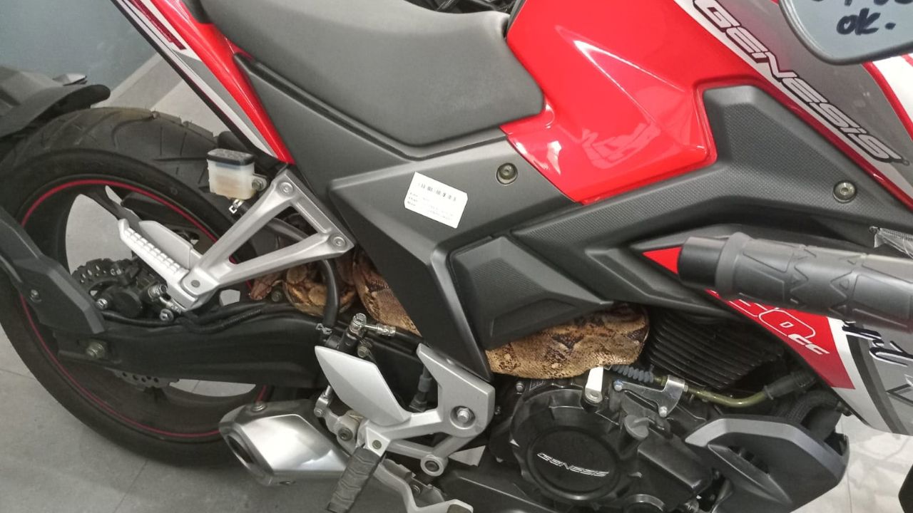 Bomberos rescatan una boa escondida dentro del motor de una motocicleta en Zamorano