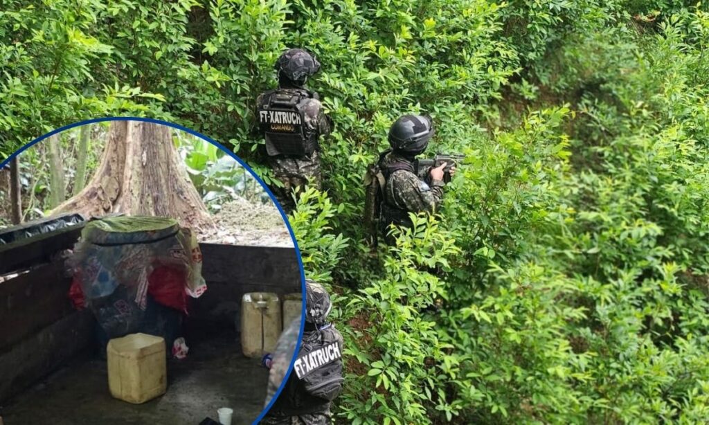 Operativo de las FFAA contra plantaciones de coca en Colón