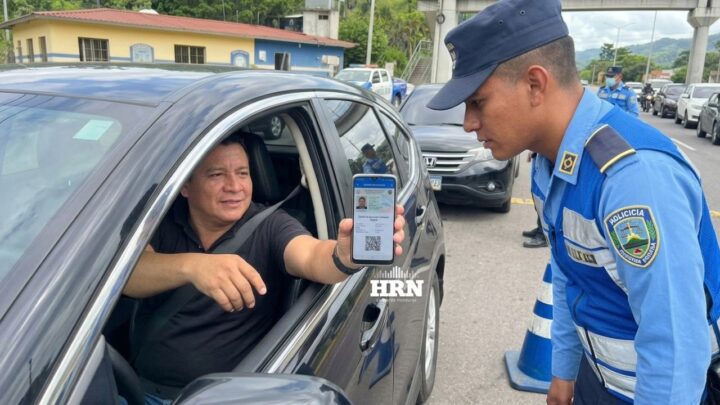 Conductor muestra licencia y revisión vehicular digitales en la aplicación BIEN