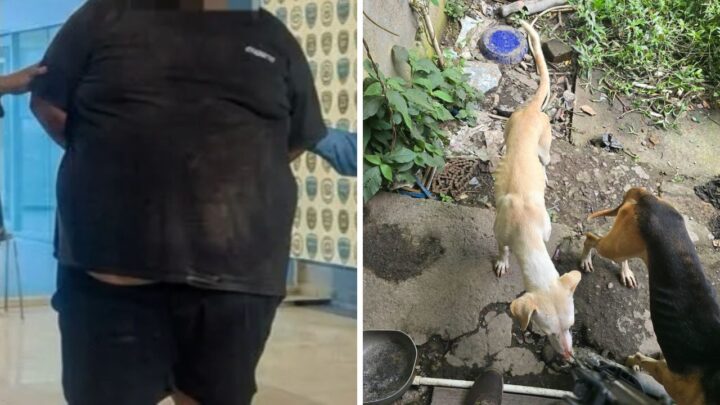 Policía durante operativo por presunto maltrato animal en Siguatepeque